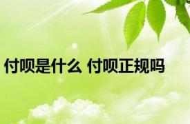 付呗是什么 付呗正规吗 