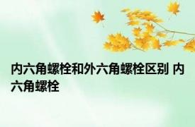 内六角螺栓和外六角螺栓区别 内六角螺栓 