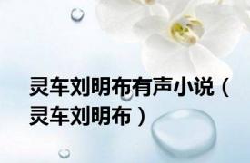 灵车刘明布有声小说（灵车刘明布）