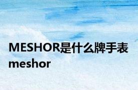 MESHOR是什么牌手表 meshor 