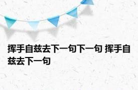 挥手自兹去下一句下一句 挥手自兹去下一句 