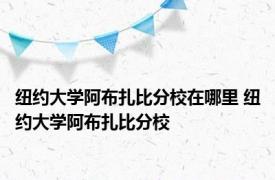 纽约大学阿布扎比分校在哪里 纽约大学阿布扎比分校 