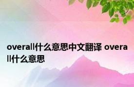 overall什么意思中文翻译 overall什么意思 