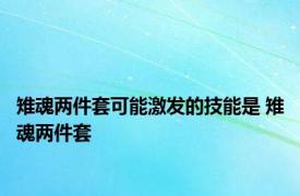 雉魂两件套可能激发的技能是 雉魂两件套 