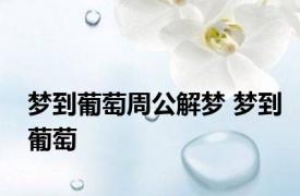 梦到葡萄周公解梦 梦到葡萄 