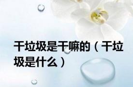 干垃圾是干嘛的（干垃圾是什么）