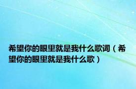 希望你的眼里就是我什么歌词（希望你的眼里就是我什么歌）