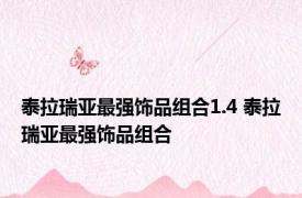 泰拉瑞亚最强饰品组合1.4 泰拉瑞亚最强饰品组合 