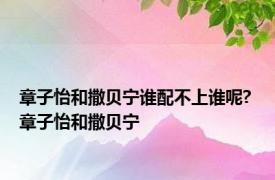 章子怡和撒贝宁谁配不上谁呢? 章子怡和撒贝宁 