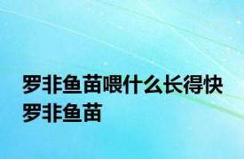 罗非鱼苗喂什么长得快 罗非鱼苗 