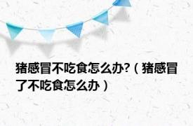 猪感冒不吃食怎么办?（猪感冒了不吃食怎么办）