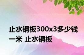 止水钢板300x3多少钱一米 止水钢板 