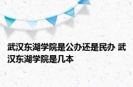 武汉东湖学院是公办还是民办 武汉东湖学院是几本 