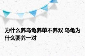 为什么养乌龟养单不养双 乌龟为什么要养一对 