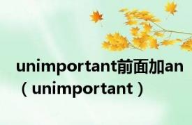 unimportant前面加an（unimportant）