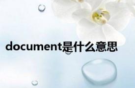 document是什么意思