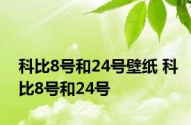 科比8号和24号壁纸 科比8号和24号 