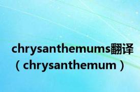 chrysanthemums翻译（chrysanthemum）