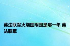 英法联军火烧圆明园是哪一年 英法联军 