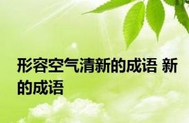 形容空气清新的成语 新的成语 