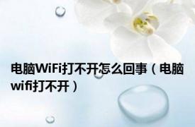 电脑WiFi打不开怎么回事（电脑wifi打不开）