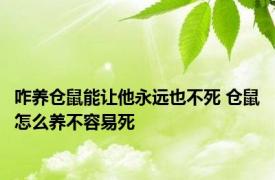 咋养仓鼠能让他永远也不死 仓鼠怎么养不容易死 