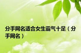 分手网名适合女生霸气十足（分手网名）