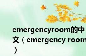 emergencyroom的中文（emergency room）