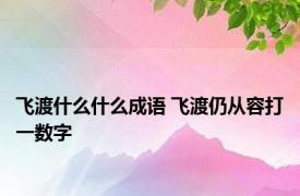 飞渡什么什么成语 飞渡仍从容打一数字 