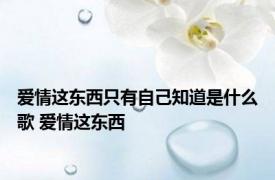 爱情这东西只有自己知道是什么歌 爱情这东西 