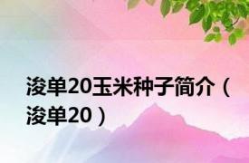 浚单20玉米种子简介（浚单20）