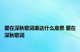 爱在深秋歌词表达什么意思 爱在深秋歌词 