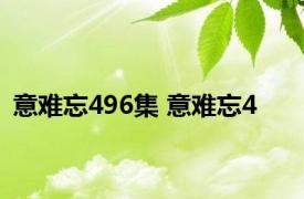 意难忘496集 意难忘4 