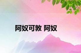 阿奴可敦 阿奴 