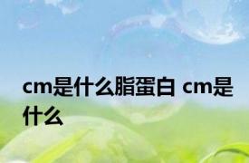 cm是什么脂蛋白 cm是什么 