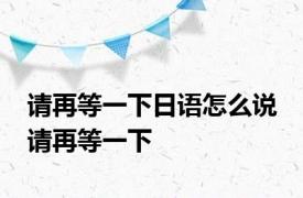 请再等一下日语怎么说 请再等一下 