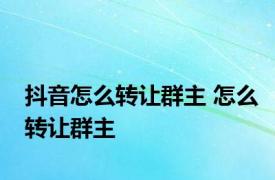 抖音怎么转让群主 怎么转让群主 