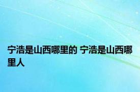 宁浩是山西哪里的 宁浩是山西哪里人 