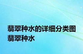 翡翠种水的详细分类图 翡翠种水 