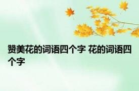 赞美花的词语四个字 花的词语四个字 