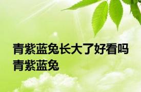 青紫蓝兔长大了好看吗 青紫蓝兔 