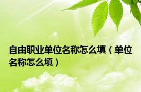 自由职业单位名称怎么填（单位名称怎么填）