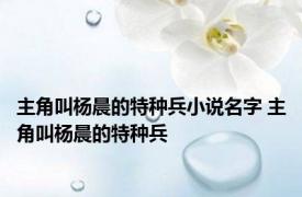 主角叫杨晨的特种兵小说名字 主角叫杨晨的特种兵 