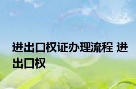 进出口权证办理流程 进出口权 