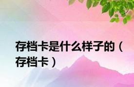 存档卡是什么样子的（存档卡）