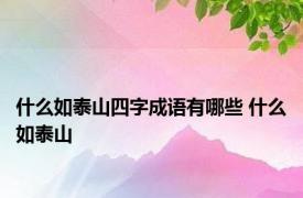 什么如泰山四字成语有哪些 什么如泰山 