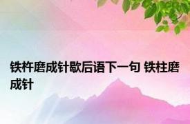 铁杵磨成针歇后语下一句 铁柱磨成针 