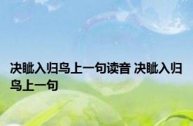 决眦入归鸟上一句读音 决眦入归鸟上一句 