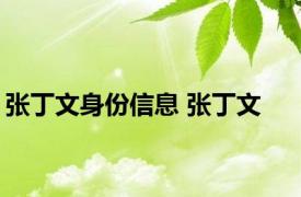 张丁文身份信息 张丁文 