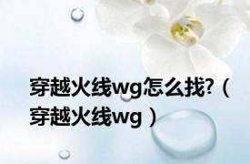 穿越火线wg怎么找?（穿越火线wg）